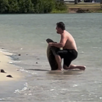 À Hawaï, un touriste manipulant une tortue verte suscite l’indignation